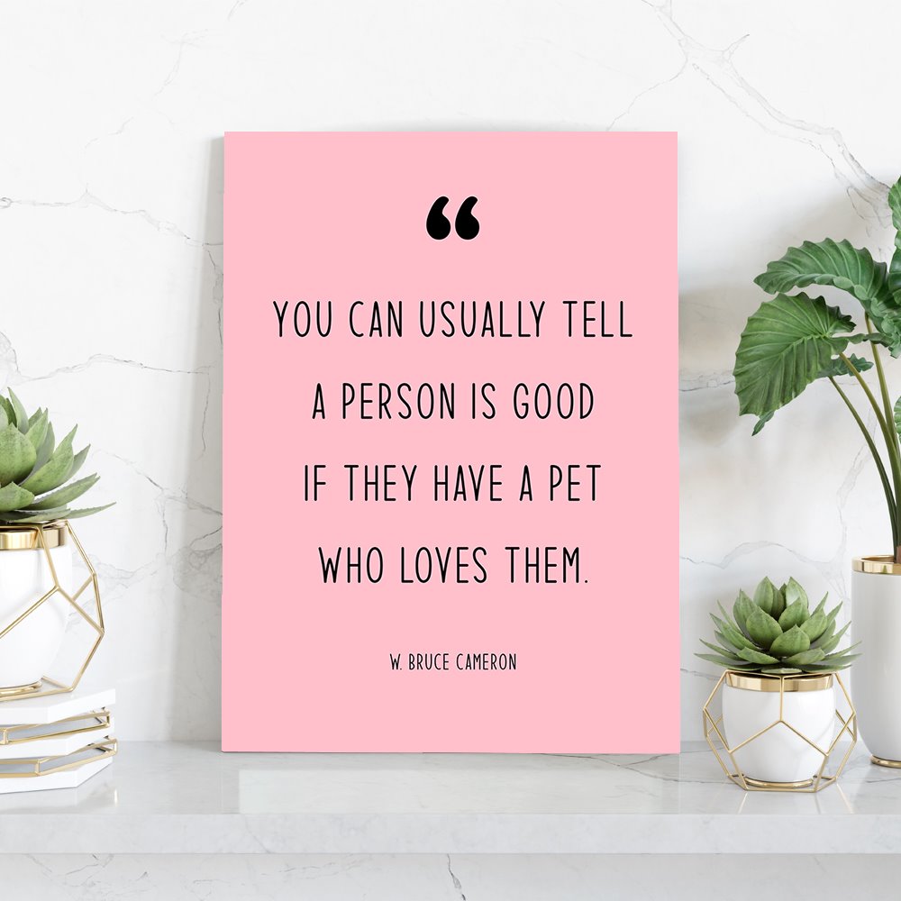 Modern Pet Quotes