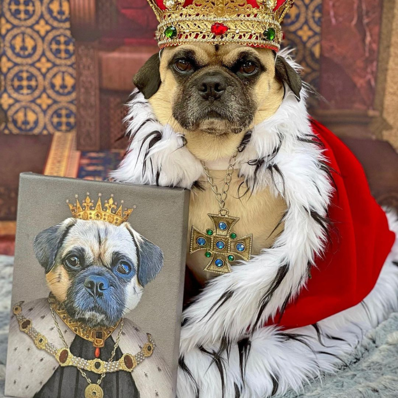 Crowned King - Custom Pet Canvas Art
