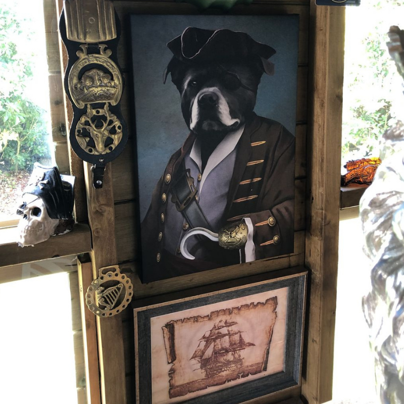 Pirate Pet Art